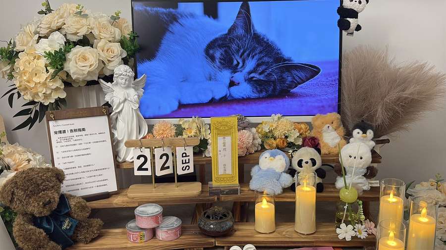 莆田告别厅花艺布置