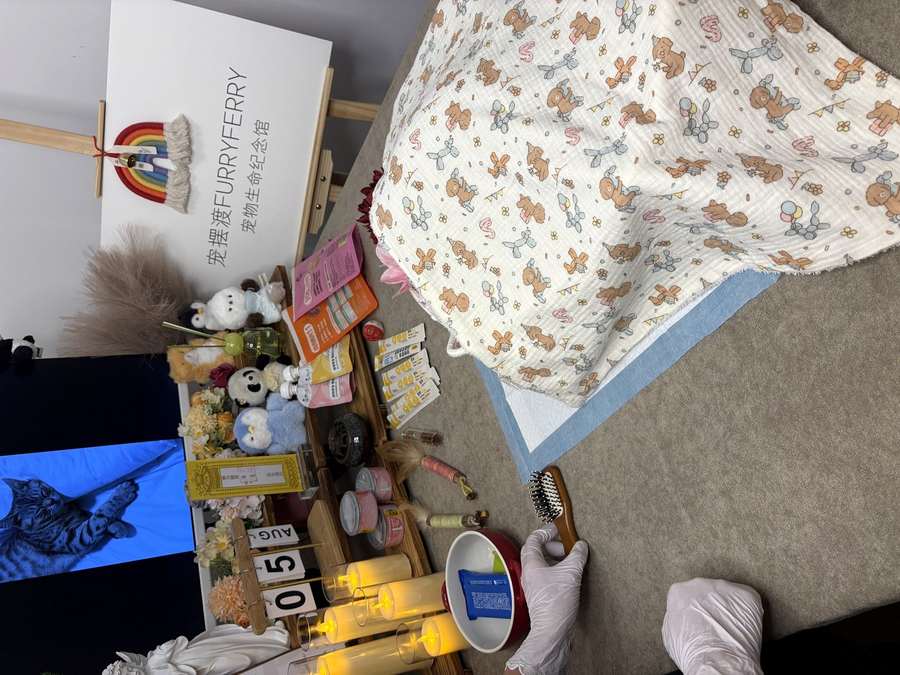 莆田宠物殡葬告别厅实景