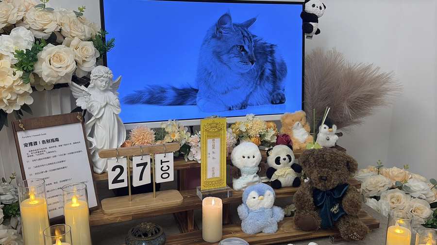 莆田告别厅实景