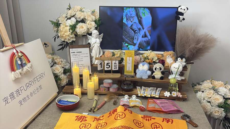 莆田宠物单独火化