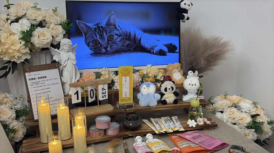 莆田告别厅实景